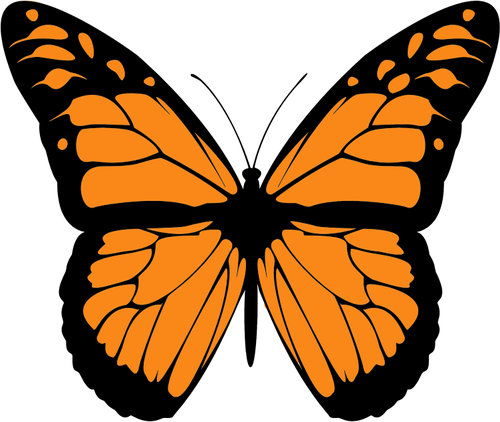 Monarch-Butterfly.png